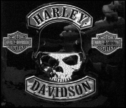 Harley-Davidson Skull Logo - Harley-Davidson® Spike Decal With Skull Graphics. DC786062