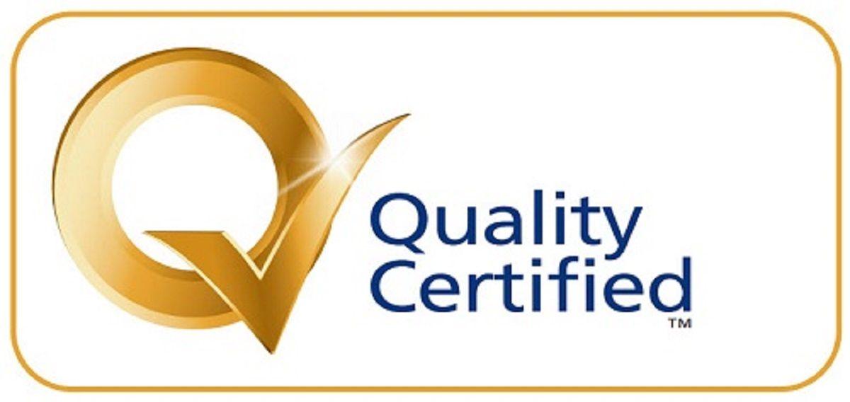 Quality Q Logo - Which local business was named a Q Mark award winner?