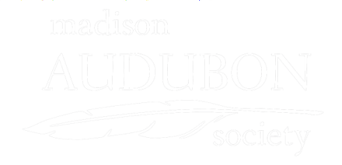 Owl Post Logo - Harry Potter Festival - Owl Post! — Madison Audubon