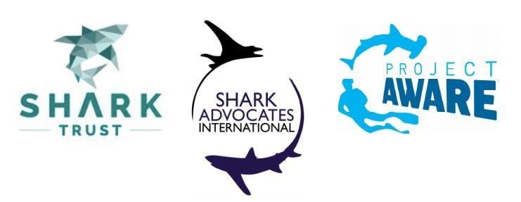 Mako Shark Logo - Conservationists Call for Mako Shark Fishing Ban | Project AWARE