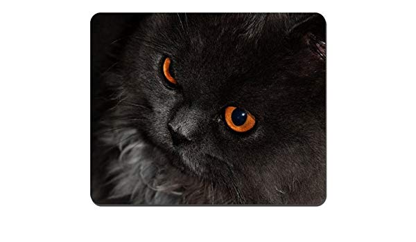 Black and White with Orange Eyes Logo - Black Cat Orange Eyes Mousepad, Gaming Mouse Pad 10.2x8