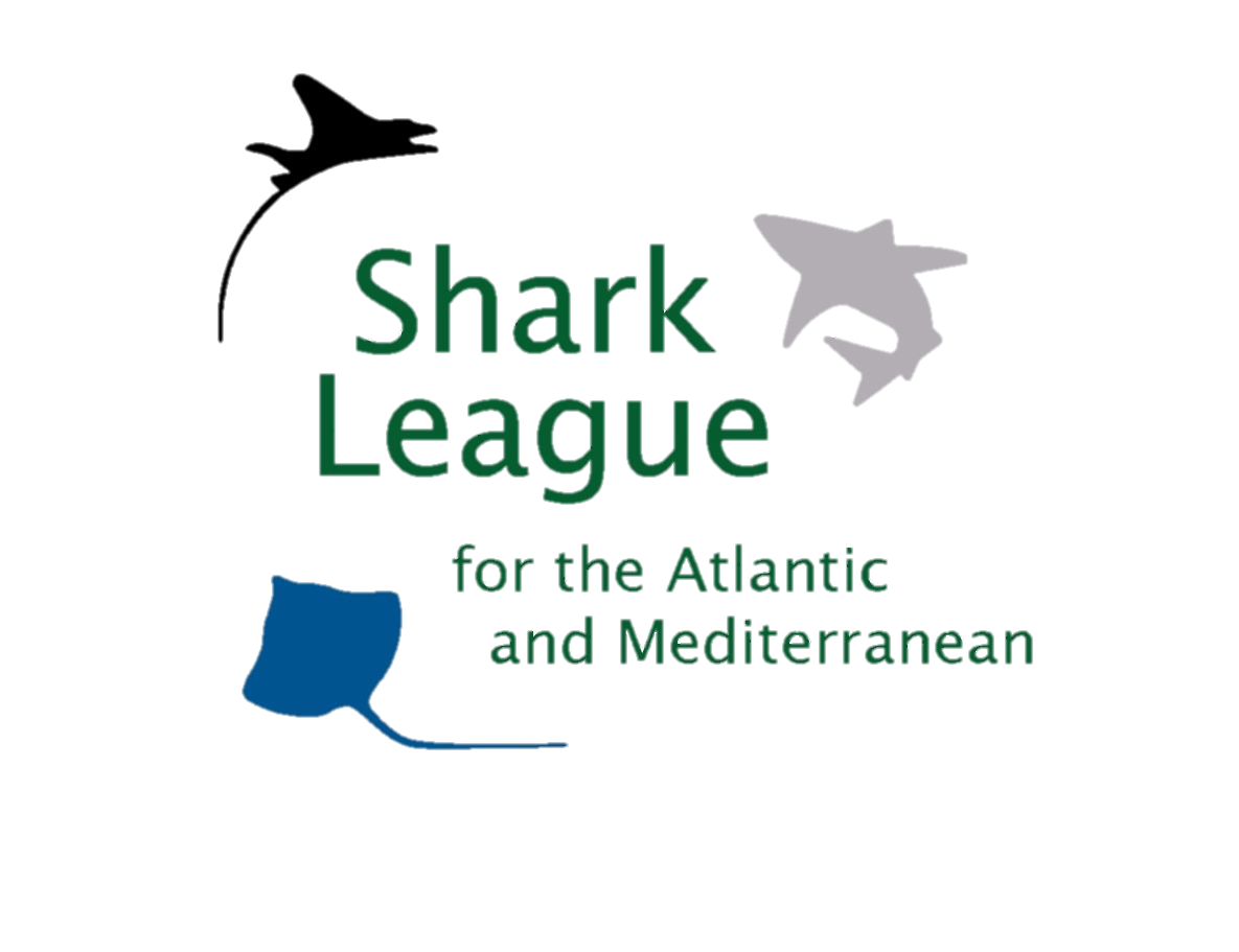 Mako Shark Logo - Scientists Report on Mako Shark Overfishing, Advise North Atlantic
