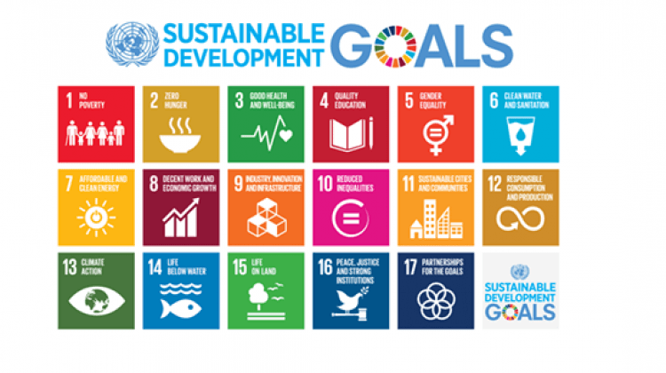 Growth Wheel Logo - UN Guidelines for the use of the SDG logo | Permanent Missions