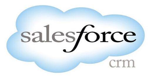 Salesforce CRM Logo - NAU - ITS - Salesforce Proxy Roles Reference Sheet