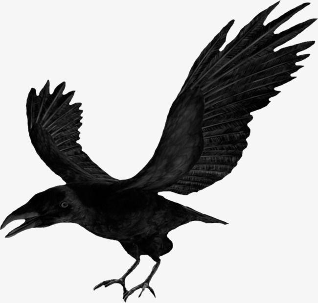 Crow Wing Logo - Halloween Crow Wings, Wings Clipart, Halloween Clipart, Halloween