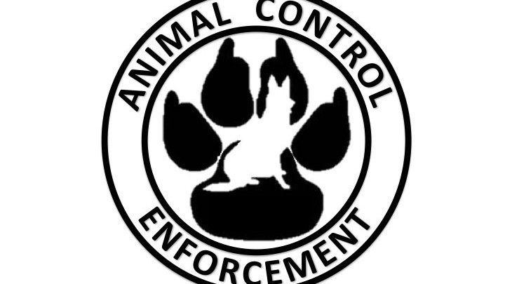 Crow Wing Logo - Petition · Jack Herrmann: Revising the laws regarding Animals in ...