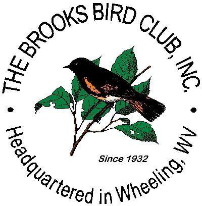 Natural Bird Logo - The Brooks Bird Club | Bill Beatty Nature