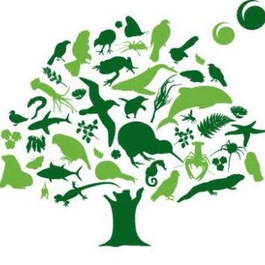 Natural Bird Logo - Forest & Bird