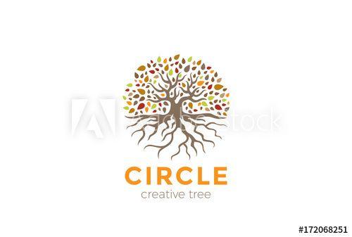 Garden Circle Logo - Circle Tree Roots Logo vector. Garden Natural Eco Organic icon