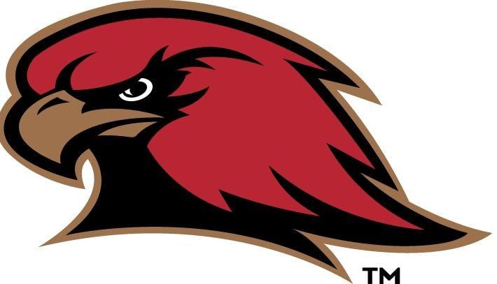 Red Hawk Mascot Logo - RedHawk Pride