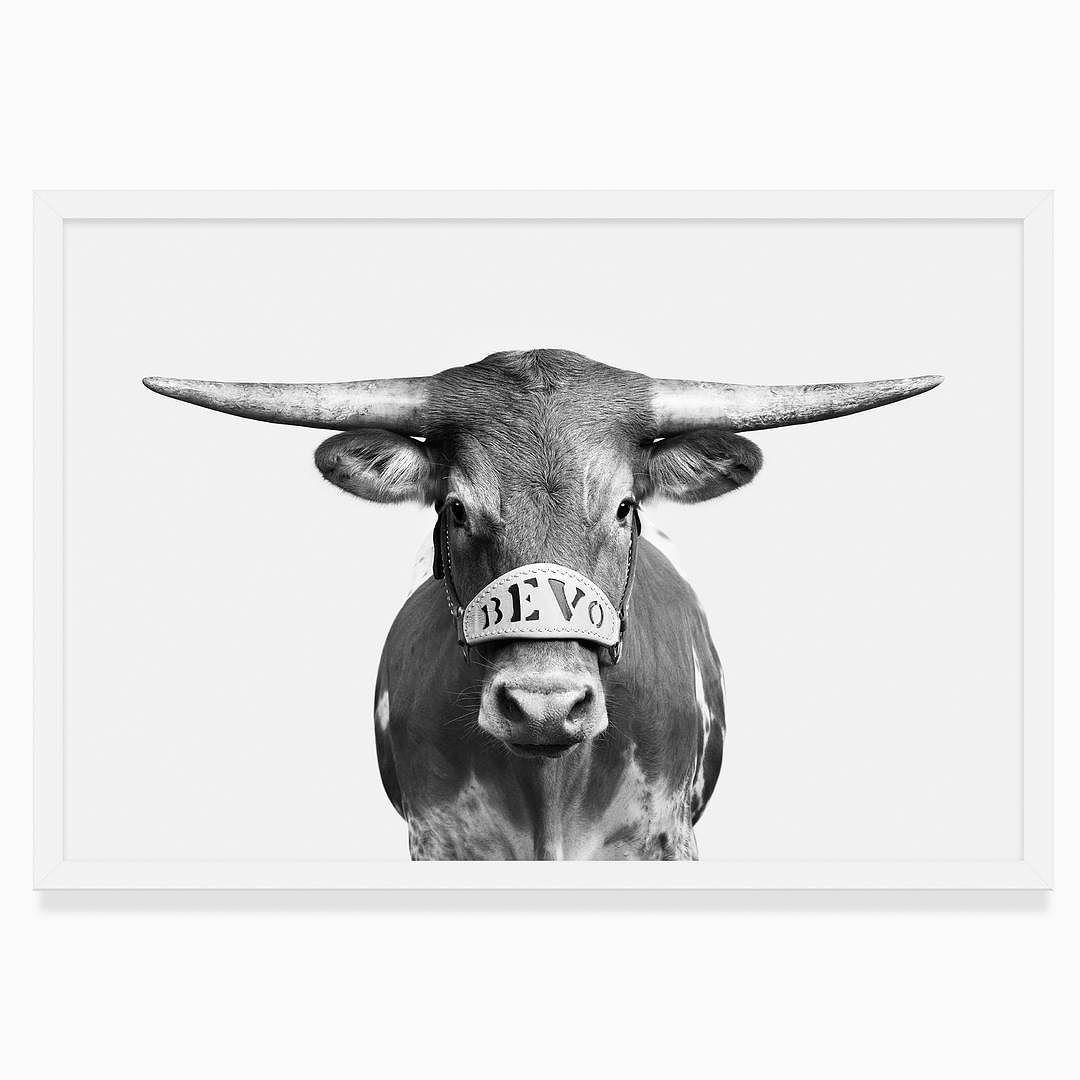 Black and White Longhorn Logo - Black And White Bevo XV 3 3. This Is My Favorite Version But Maybe