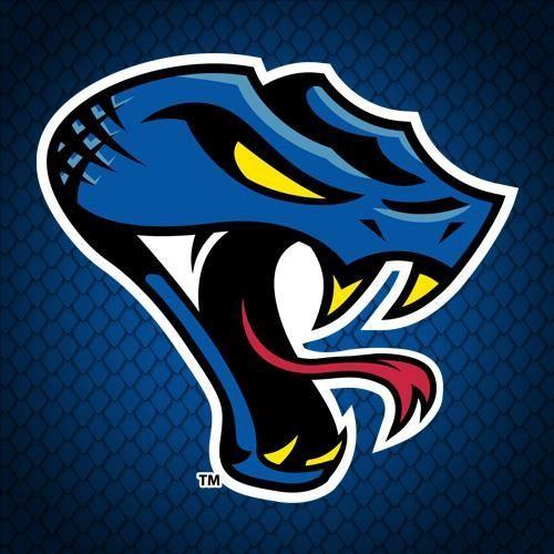 Snake Football Logo - Snake Logos