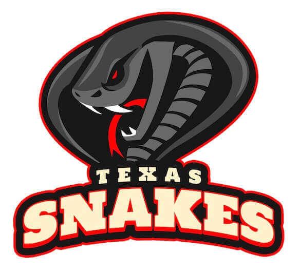 Snake Football Logo LogoDix