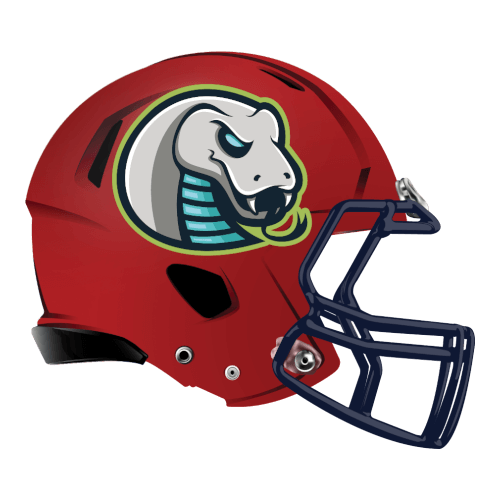 Snake Football Logo - Fantasy Football Animal Logos