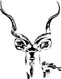 Kudu Logo - 148 Best Logos images | Graphics, Academy logo, Backgrounds