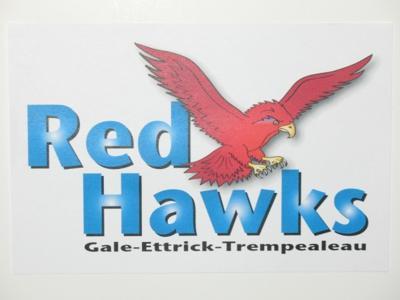 Red Hawk Logo - G-E-T unveils new logo for Red Hawks | Local | lacrossetribune.com