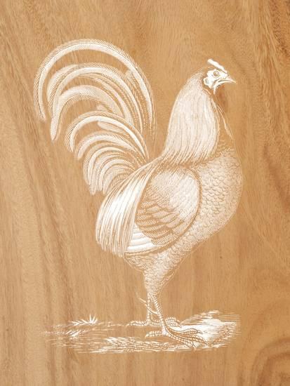 Rustic Rooster Logo - Rustic Rooster Art Print by Ikonolexi at Art.co.uk