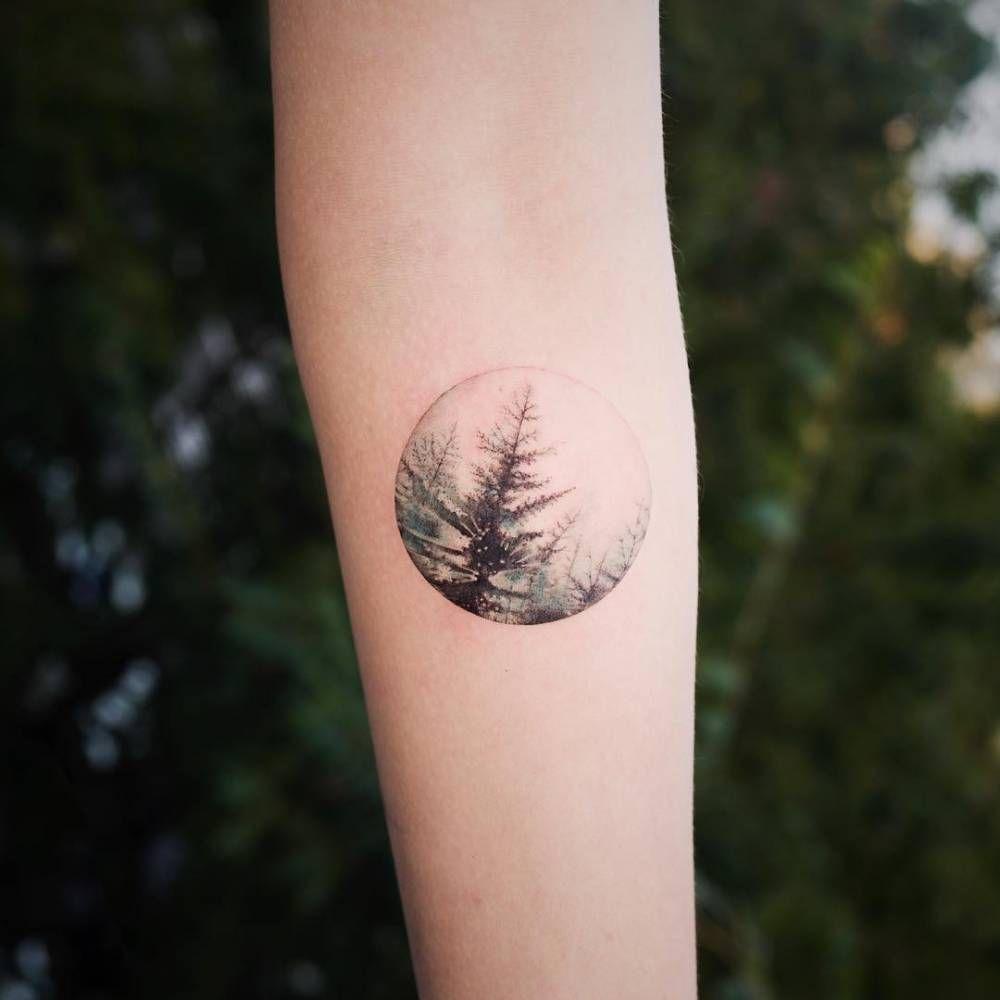 Pine Tree Circle Logo - Pine tree circle tattoo on the left inner forearm. | Tatuajes ...