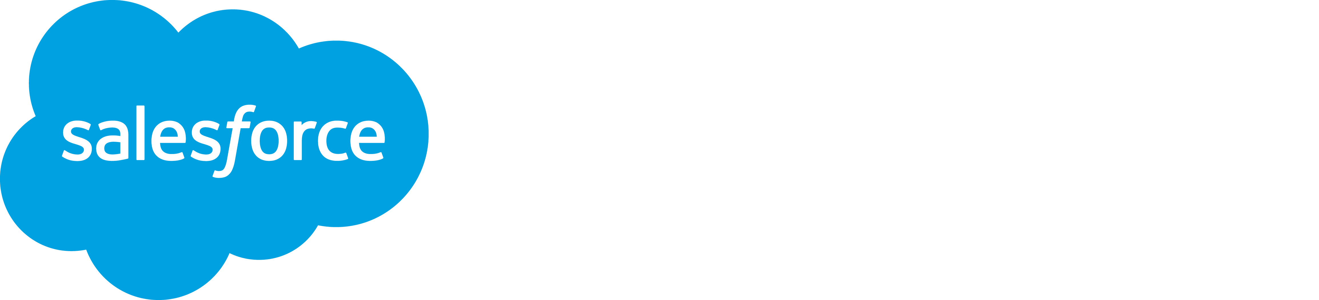 Salesforce Platform Logo - Lightning Platform