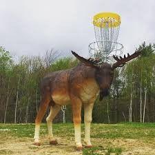 Mountain Recreation Logo - Moose Mountain Recreation (Brookfield, New Hampshire) | Disc Golf Scene