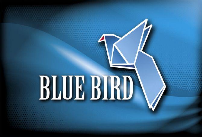 Blue Bird Corporate Logo - Blue Bird