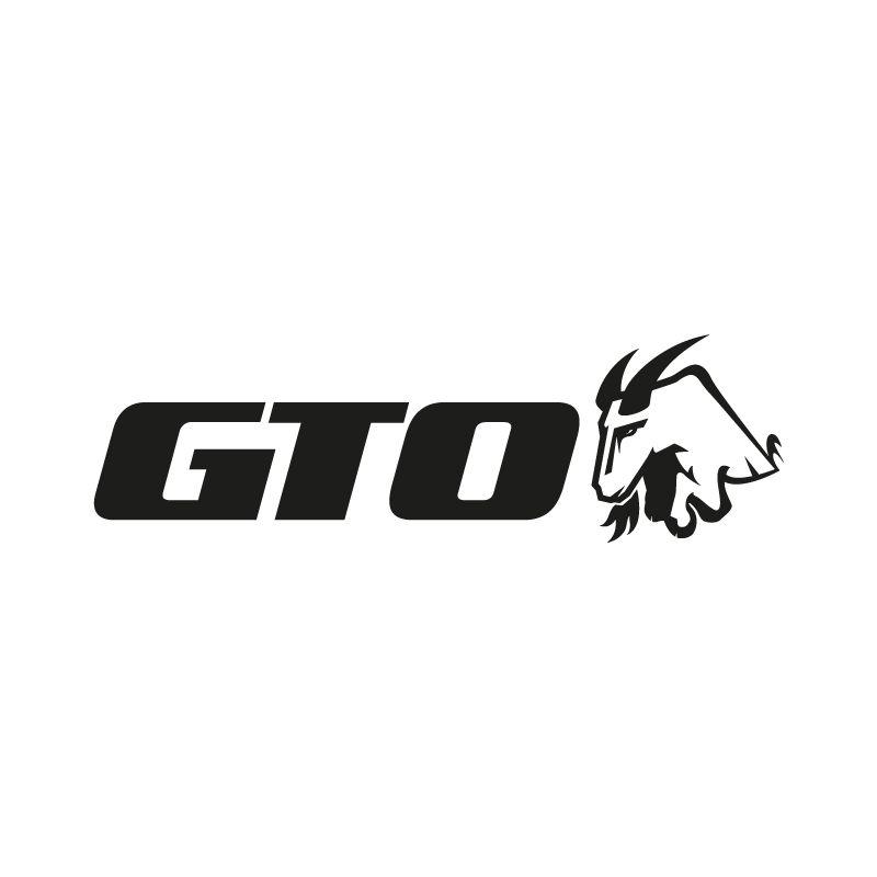 GTO Logo - Charles Allan. Logo Design: GTO
