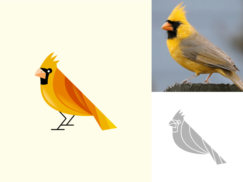 Cardinal Bird Logo - Yellow Cardinal Bird by Bagja Ahmad Syahid | Dribbble | Dribbble