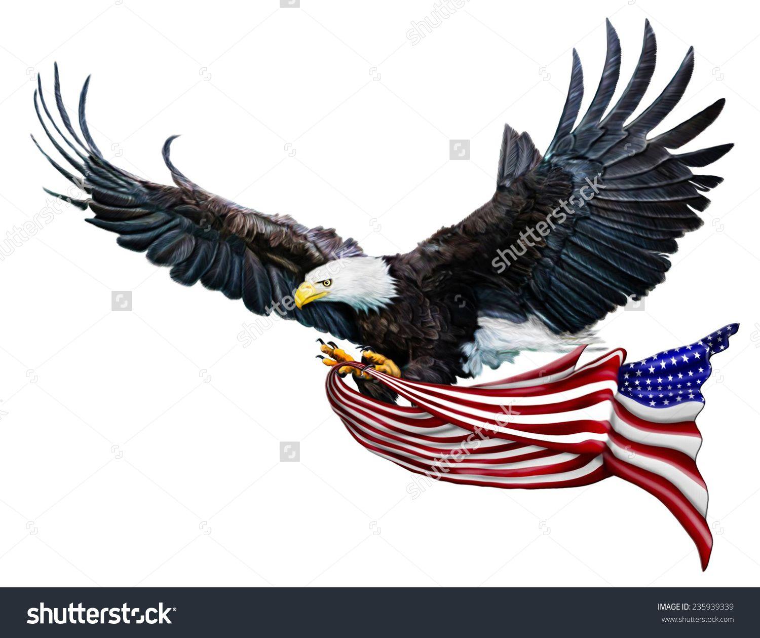 Flying American Eagle Logo - Flying Eagle paintings