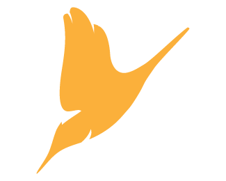 Orange Bird Logo - Diving Bird Designed