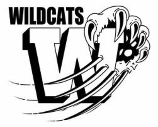 Black and White Wildcat Basketball Logo - Free Wildcat Basketball Clipart, Download Free Clip Art, Free Clip