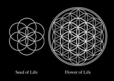 Flower of Life Logo - Flower of Life Apparel Edition. 神秘学/神圣几何. Sacred