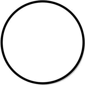 Circle Plain Logo - Presentation Name