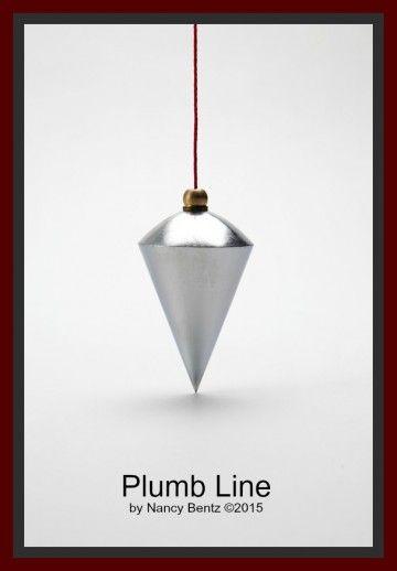 Plumb Line Logo - Plumb Line – Ishshah's Story