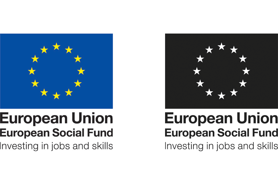 European Union Logo - Withdrawn Using the ESF logo