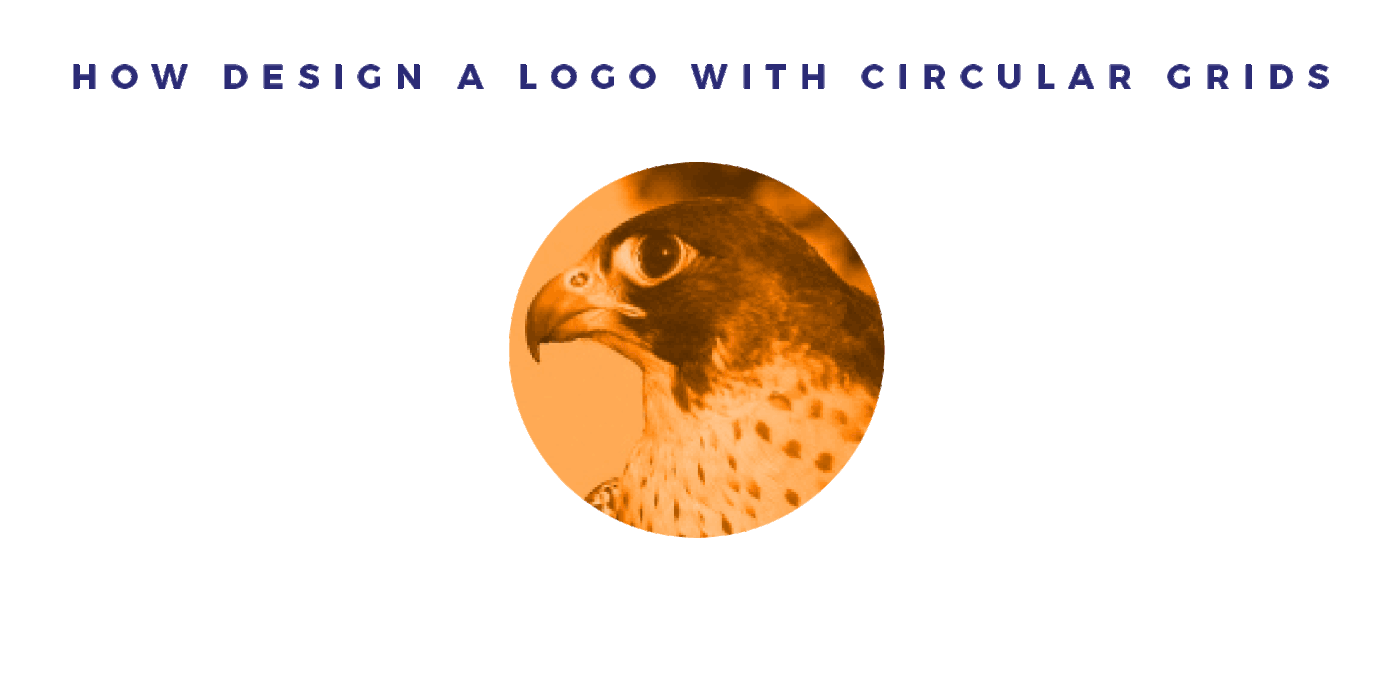 Orange Bird in Circle Logo - Bird - Logo Animal on Behance