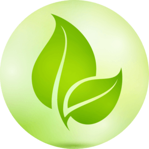 Eco Green Logo - Product Branding For Green Companies - ReuseThisBag.com