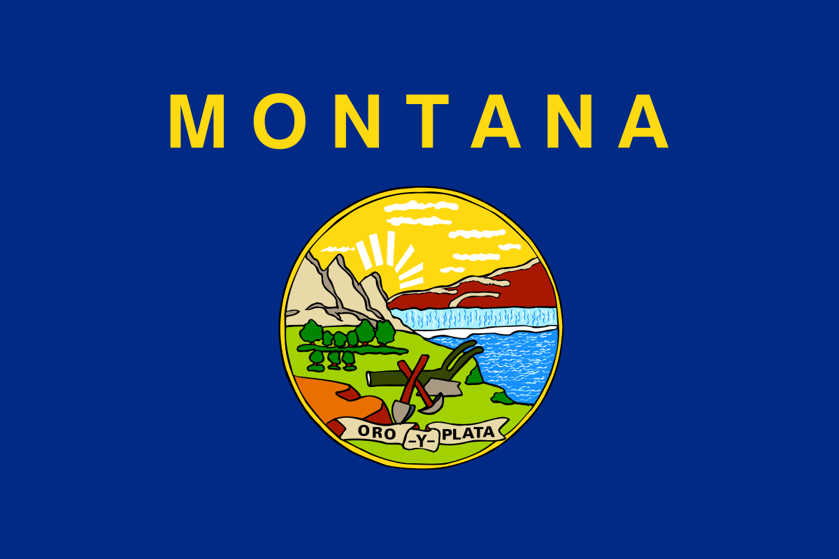 Big Sky Silver and Blue Logo - Montana