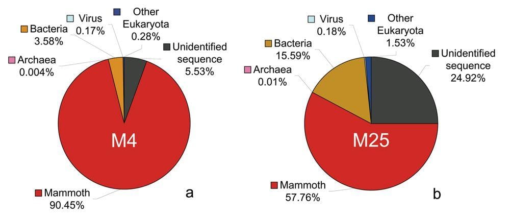 Mammoth in Red Circle Logo - Mammoth Genome Project PSU