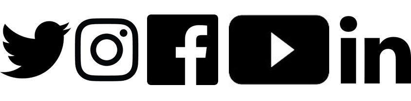 Facebook Twitter Instagram LinkedIn Logo - Biomomentum on Twitter: 
