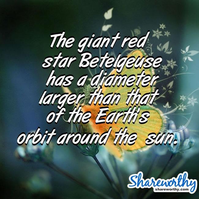 Red Star and the Letter T with a Logo - Shareworthy True Fact Memes about The Giant Red Star