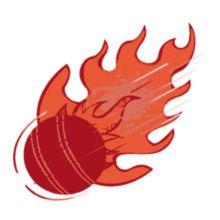 Ball Bat Logo - cricket-logo-ball-bat-wickets T-Shirts | Buy cricket-logo-ball-bat ...