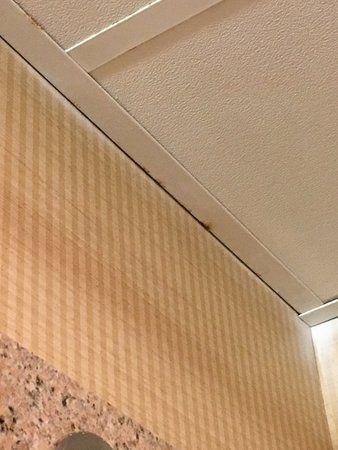 Rust Colored Logo - Rust colored stains in the ceiling. - Picture of Holiday Inn Express ...