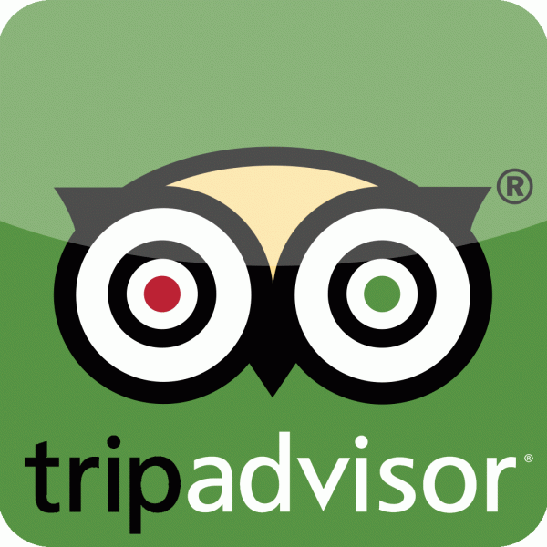 www TripAdvisor Logo - Tripadvisor App Logo Tripadvisor Icon 600x600