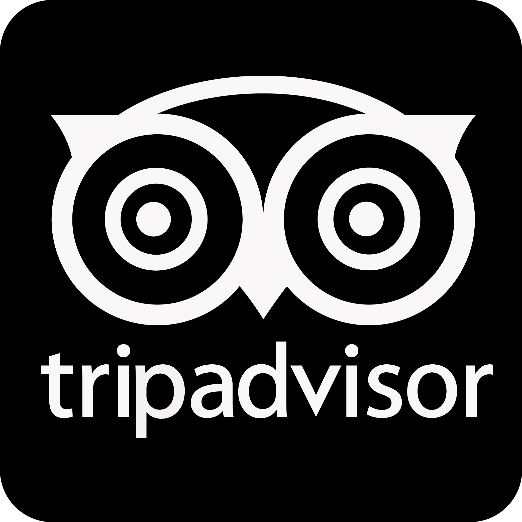 www TripAdvisor Logo - Tripadvisor logo - logo success