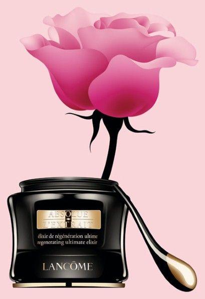 Lancome Flower Logo - Beauty Notebook: The making of Lancôme's rose - Telegraph