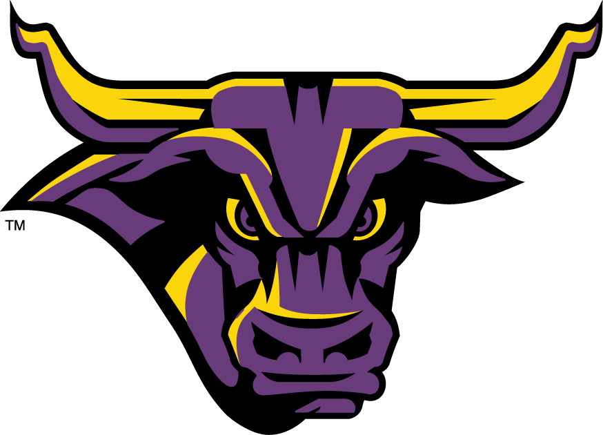 Purple Bull Logo - Minnesota State Mavericks Partial Logo Division I (i M) (NCAA