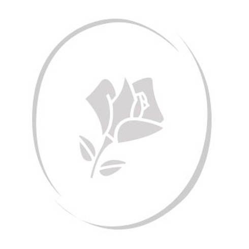 Lancome Flower Logo - Productos para hombres | Lancôme