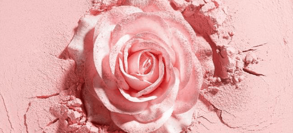 Lancome Rose Logo - Yes, This Rose Is An Actual Usable Illuminating Blush