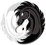 Horse Yin and Yang Logo - horse yin yang | Tattoos | Yin yang, Tattoos, Mandala