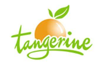 Tangerine Food Logo - UK: Tangerine shutters Dorset production site. Food Industry News